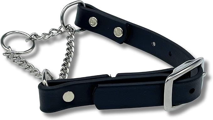 Martingale Collar for Dogs, Biothane, Stainless Steel Hardware, No Pull, Made in The USA, Professional Grade. Large, Black