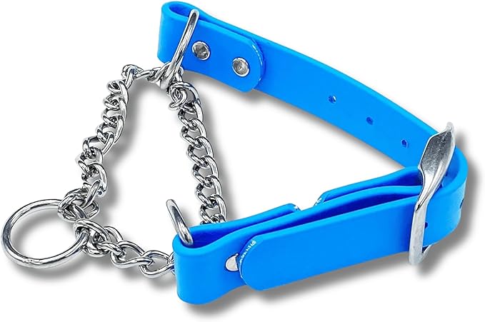 Martingale Collar for Dogs, Biothane, Stainless Steel Hardware, No Pull, Made in The USA, Professional Grade, XXS, Light Blue