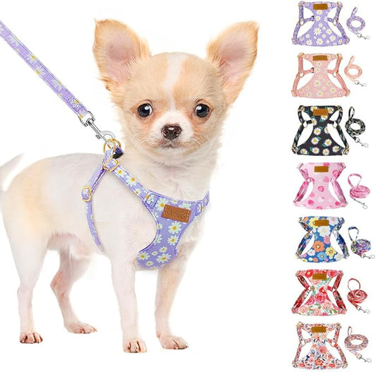 SlowTon Dog Harness Small Sized Dog - Soft XXS Dog Harness and Leash Set No Pull No Chock, Adjustable Lightweight Puppy Harness for XS Small Medium Dogs Cats (Purple Dasiy, S)