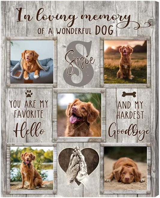 Benicee Shop In Memory Of Pet Memorial Photo Collage, Personalized Dog Loss Gift, Sympathy Gifts for Pet Lovers, Changing Colorful Background to Paint Loving Memory, Ideal Cat Mom Gifts (BG1)