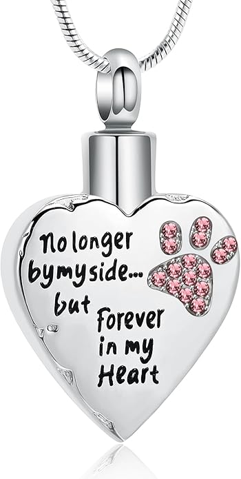 memorial jewelry Your Wings were Ready, But My Heart was Not Stainless Steel Carved Locket Cremation Urn Necklace for Pet Dog Cats