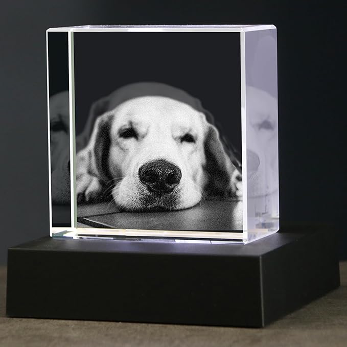 3D Crystal Photo,Pet Memorial Gifts for Dogs,Cats,Animal Customized Gift,Personalized Dog Memorial Gift, Customized Pet Gifts,Personalized Photo Gifts