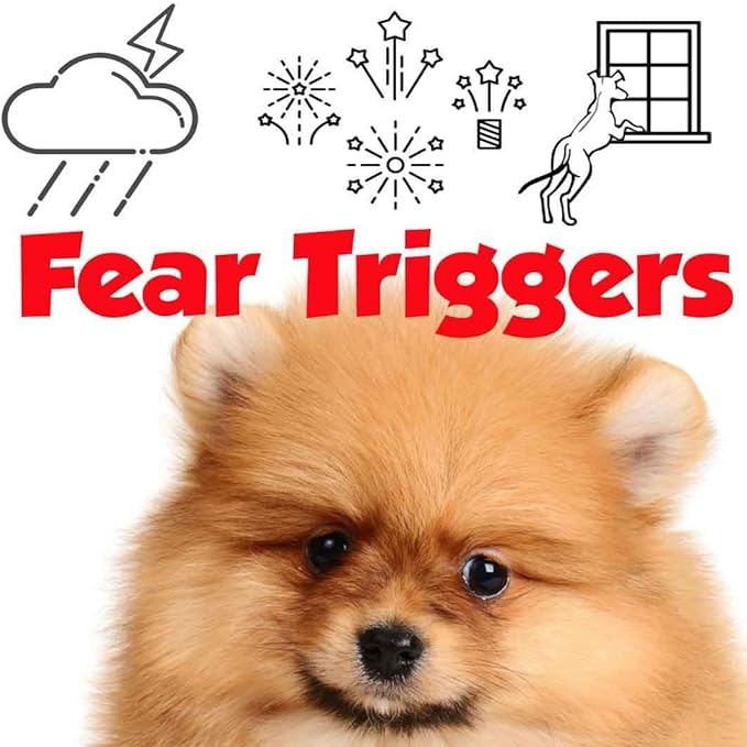 The Blissful Dog Pomeranian Relax Roll-ON Aromatherapy for Dogs - Anxiety Relief for Dogs