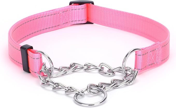 Martingale Dog Collar with Stainless Steel Chain and Leash Set, Martingale Collar with Reflective, 5FT Double Handle Dog Leash Padded, Adjustable for Medium Large Dogs (Pink Collar, M)