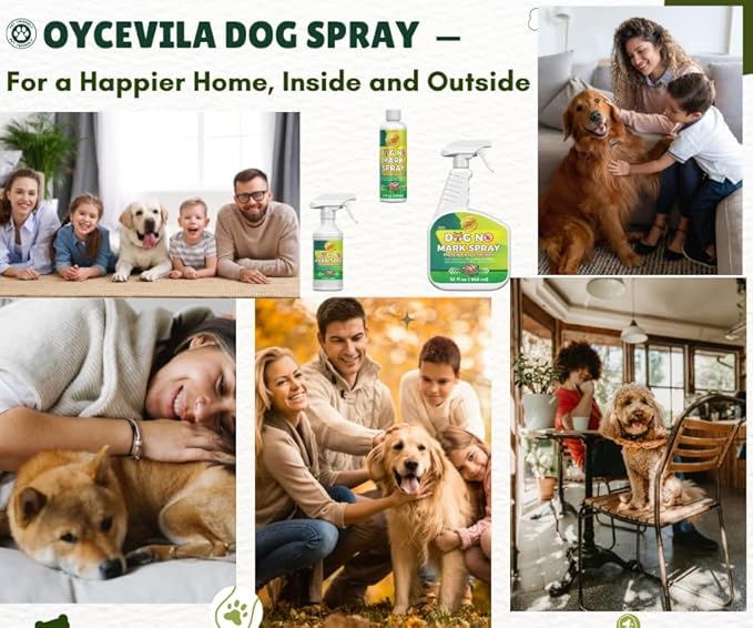 16.0 Fl Oz Say Goodbye to Odors and Stains on Your Pet, Keep Your Home Clean and Tidy, Get Your Dog into Good Habits, Dog Not Here Spray