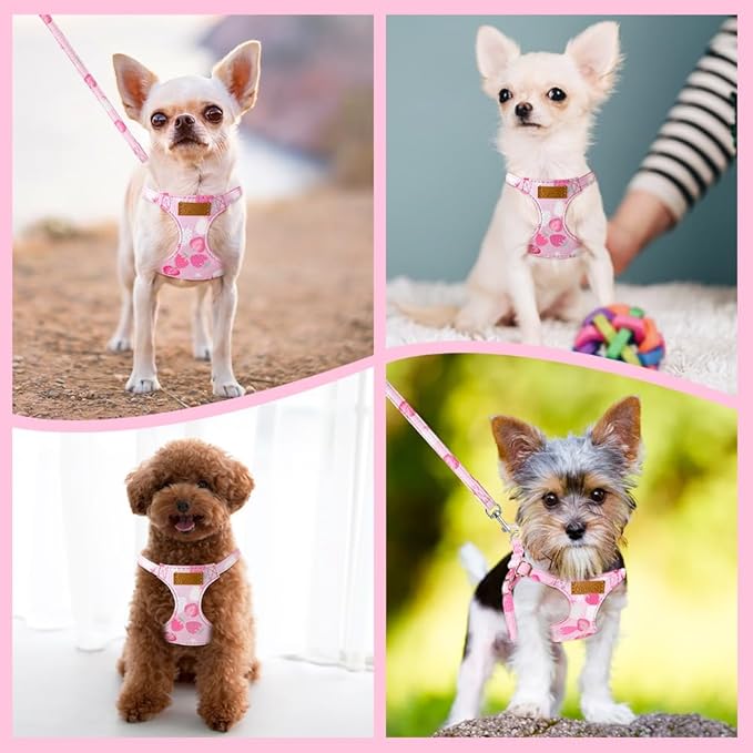 SlowTon No Pull Dog Harness with Leash - Soft Lightweight Floral Pattern Puppy Harness, Adjustable Pet Harness for Small Medium Dogs (Pink Strawberry, M)
