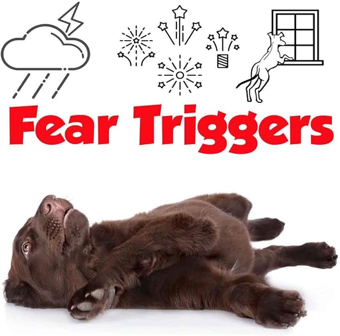 The Blissful Dog Flat-Coat Retriever Relax Roll-ON Aromatherapy for Dogs - Anxiety Relief for Dogs