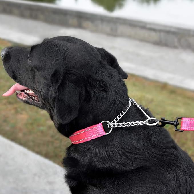 CollarDirect Martingale Dog Collar Training Adjustable Stainless Steel Chain Reflective Nylon Pet Collars for Medium Large Dogs (M, Neck Fit 14"-20", Pink)