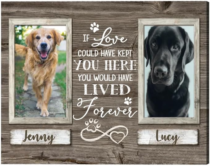 Benicee Shop Pet Memorial Gifts, Sympathy Gifts For Pet Loss, Double Picture Canvas Frame, Gift For 2 Pets