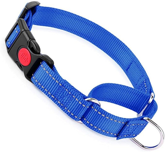 Martingale Collar for Dogs with Buckle, Reflective Dog Choke Collar Escape Proof No Pull Cinch Dog Training Collars Adjustable for Small Medium Large Breed Pet Dogs, Blue M