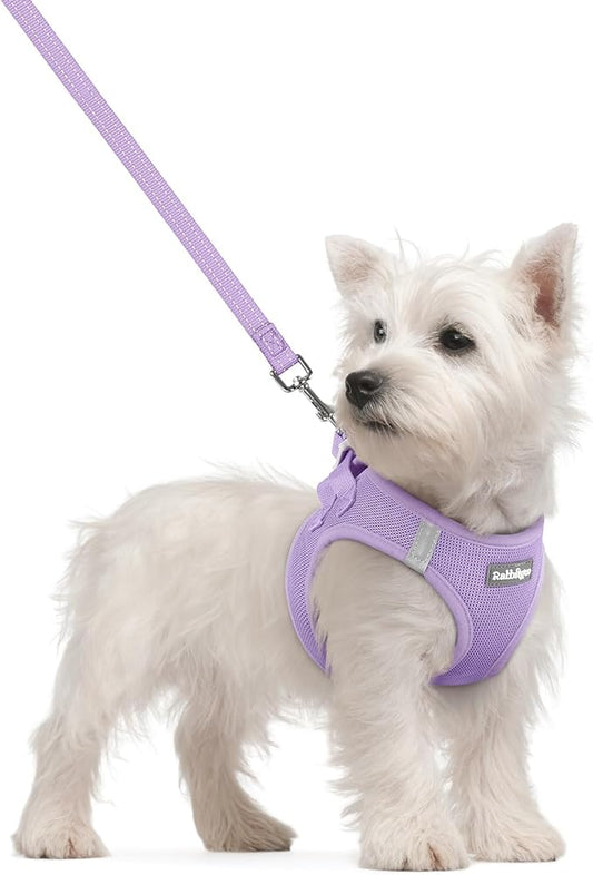 rabbitgoo Dog Harness Small Sized and Leash Set, Step in Soft Light Puppy Vest, Breathable Mesh Pet Harness, Reflective for Safe Easy Walking, Light Purple S