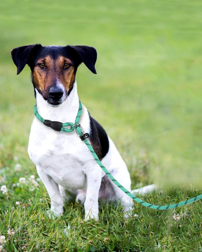 TagME Slip Leads for Dogs that Pull, 6 FT No-Pull Training Leash with Lock, Escape-Proof Design, Reflective & Padded Handle for Medium Dogs, Turquoise
