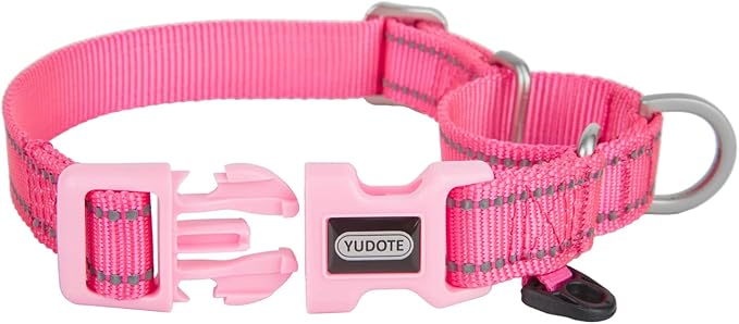 Reflective Martingale Collar for Dogs with Quick Snap Buckle Anti-Pull Nylon Safe Slip Collars for Easy Walking,Hot Pink,Small