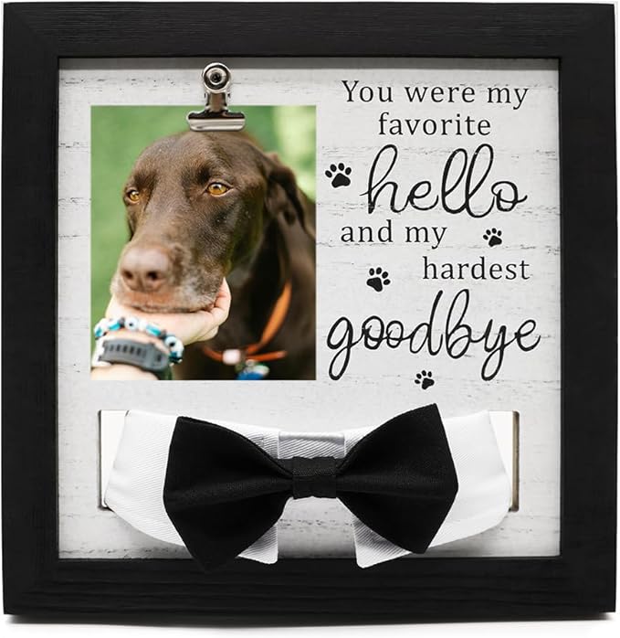 Pet Loss Gift – 9 x 9” Memorial Sympathy Frame with Collar Holder & Card, Remembrance Gift for Loss of Dog or Cat, Rainbow Bridge Keepsake