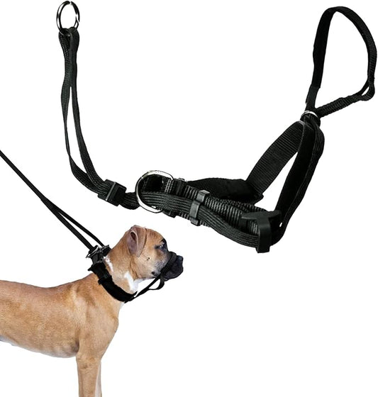 SPORN Head Dog Halter, Black, Large