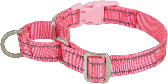 Martingale Collar Reflective Nylon Collar with Safety Quick Release Buckle,Escape-Proof Anti-Pull for Small Medium and Heavy Duty Dogs(Hotpink,M)