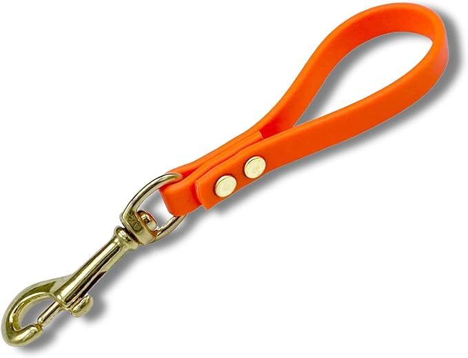 Biothane Training Tab Leash for Dogs, Brass Hardware, No Pull with Easy Grip Handle, Made in The USA, Professional Grade-Orange