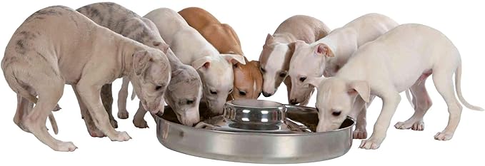 Trixie Puppy Stainless Steel Bowl, 38 cm Dia