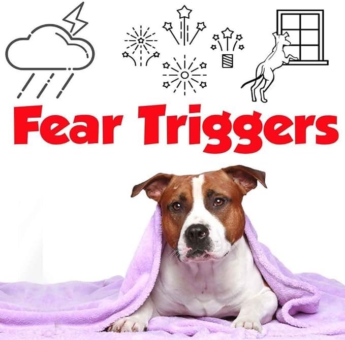 The Blissful Dog American Staffordshire Terrier Relax Roll-ON Aromatherapy for Dogs - Anxiety Relief for Dogs