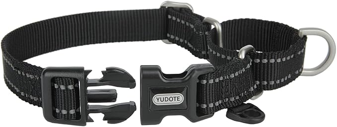 Martingale Collar Reflective Nylon Collar with Safety Quick Release Buckle,Escape-Proof Anti-Pull for Small Medium and Heavy Duty Dogs(Black,S)