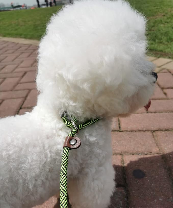 Slip Lead Dog Leash for Small Dogs, 1/4" x 5ft No Pull Slip-on Lightweight Training Leash (Green)