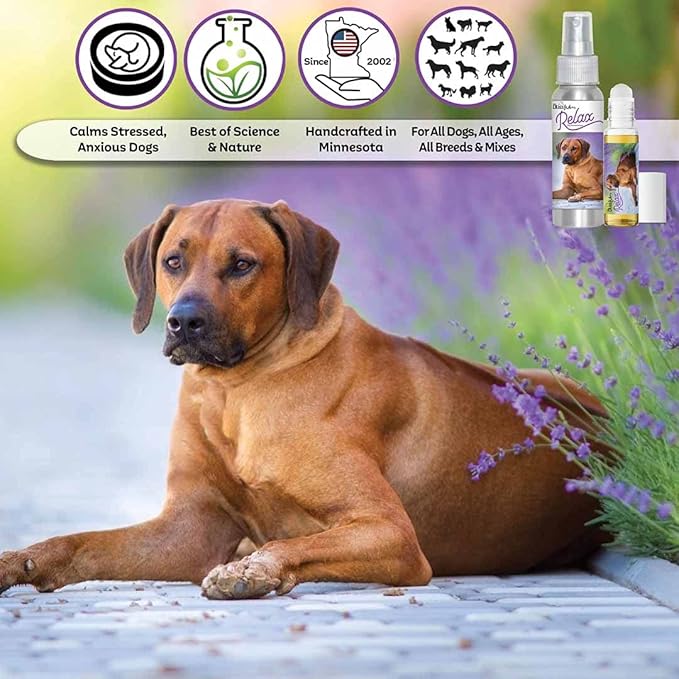 The Blissful Dog Phodesian Ridgeback Relax Dog Aromatherapy Spray for Your Dog's Anxiety