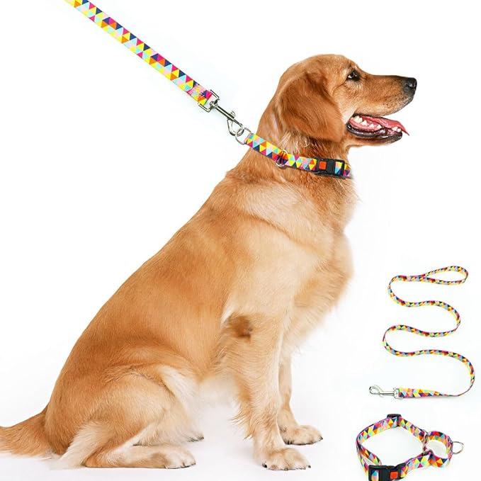 Martingale Collar for Dogs with Buckle, No Slip Escape Proof Limited Choke Pinch Pet Collars Quick Release Snap with Lock for Small Medium Large Breed, Colorful Geometric Triangles L