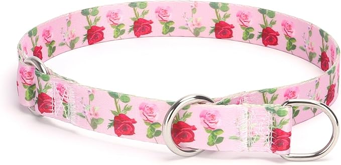 Training Dog Collar, No Pull Martingale Collar, Slip Collar with Slidable Stop Ring for Small, Medium, Large Dogs (L, Roses)