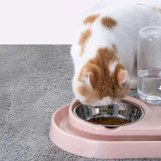 Double Dog Cat Bowls, Raised Pets Water and Food Bowl Set with Automatic Water Dispenser Bottle Detachable Stainless Steel Bowl No-Spill Pet Feeder for Small Medium Dogs and Cats Puppy Kitten Rabbit