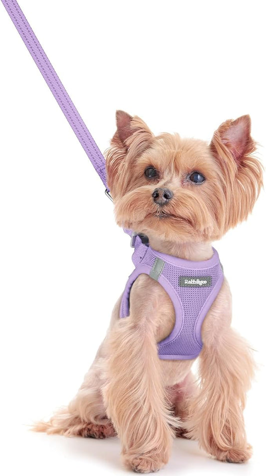 rabbitgoo Dog Harness Small Sized and Leash Set, Step in Soft Light Puppy Vest, Breathable Mesh Pet Harness, Reflective for Safe Easy Walking, Light Purple XXS