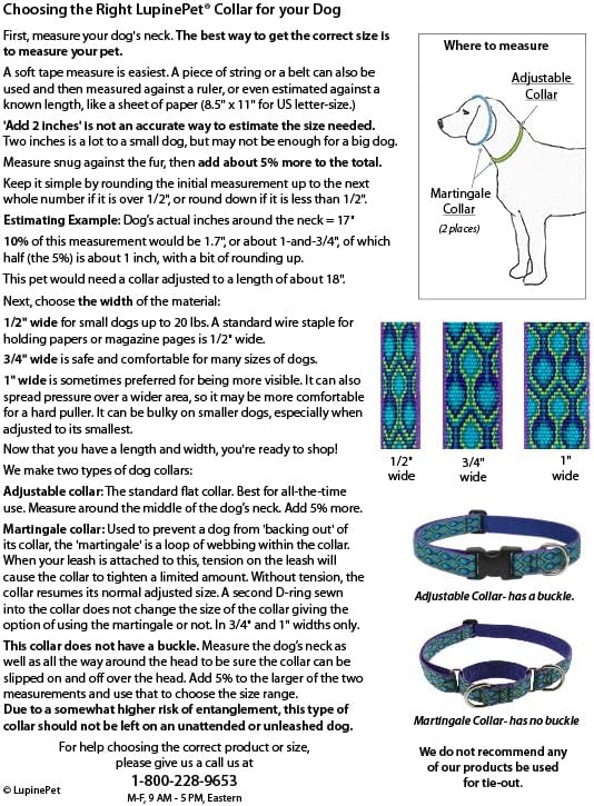 LupinePet Basics 1" Blue 19-27" Martingale Collar for Large Dogs