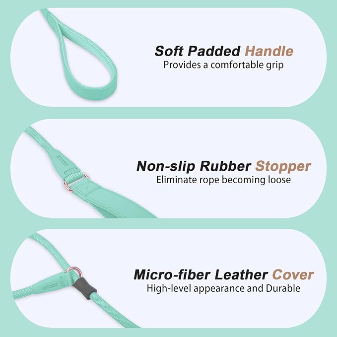 Slip Lead Dog Leash, Dog Training Leash with Double Handle, Soft Leather Slip Leash and Collar, Heavy Duty Nylon Dog Lead, No Pull Walking for Medium Large Small Dogs 6ft Mint Green