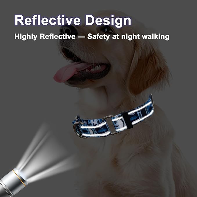 Reflective Martingale Collar for Dogs Nylon Training Collar with No Buckle, No Pull Escape Proof Dog Collar for Medium Dogs（Blue Dinosaur，M）
