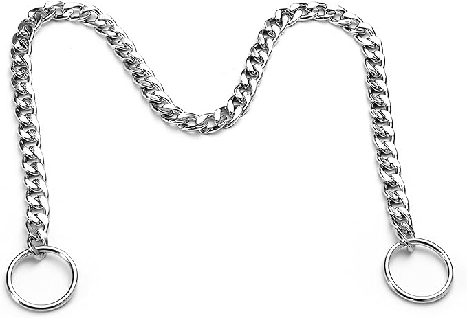 Flat Chain Dog Collar, Metal Slip P-Link Training Heavy Duty Dog Collar Puppy Collars for XS Small Medium Large Dogs, Silver XS