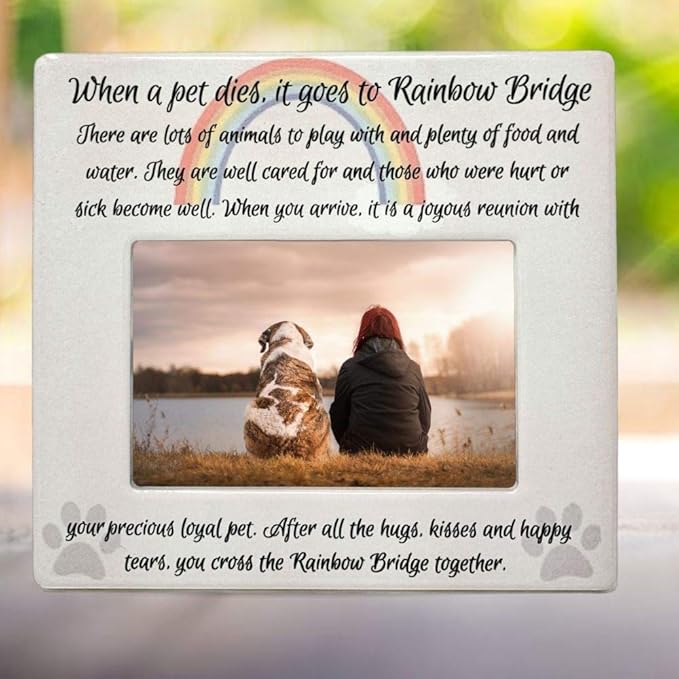 BANBERRY DESIGNS Pet Memorial 4x6 Picture Frame - Rainbow Bridge Message - Bereavement Photo Plaque for Dog or Cat - in Memory of a Pet - Pet Sympathy Gift