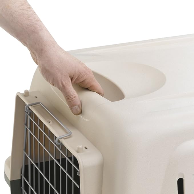 Ferplast Carrier for Large Dogs Atlas 60 Classic, Pet Carrier for Large Dogs with Bowl Included, Plastic-Coated Metal Door, Safety Closing System, Aeration grids, 61 x 91 x h 66.5 cm Green