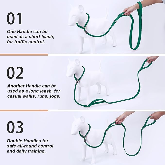 Slip Lead Dog Leash, Double Handle, Soft Leather, Heavy Duty Nylon, No Pull Walking, Medium Large Small Dogs, 6ft Dark Green