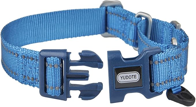 Martingale Collar Reflective Nylon Collar with Safety Quick Release Buckle,Escape-proof Anti-pull for Small Medium and Heavy Duty Dogs(Blue,S)