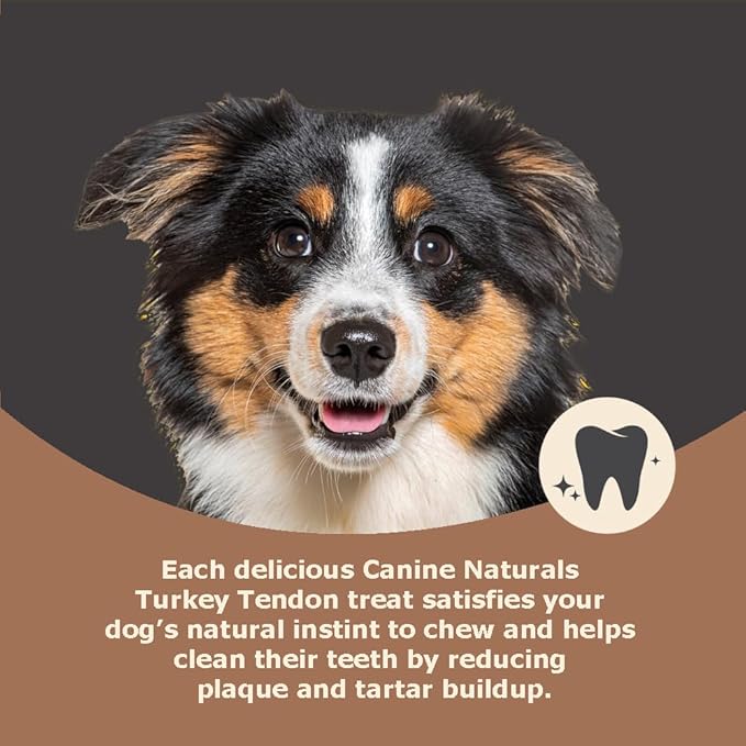 Canine Naturals Natural Turkey Tendon Rings - Slow Roasted Treats for Dogs - 4 Count