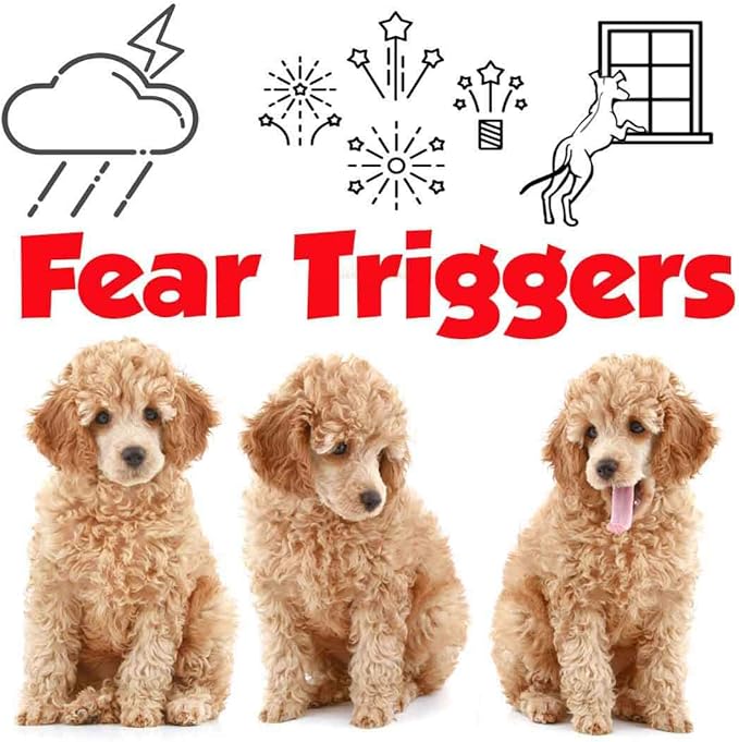 The Blissful Dog Poodle Relax Dog Aromatherapy Spray for Your Dog's Anxiety
