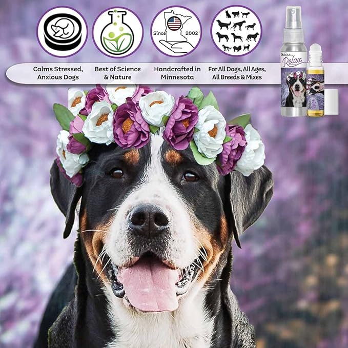 The Blissful Dog Greater Swiss Mountain Dog Relax Aromatherapy Spray for Your Dog's Anxiety