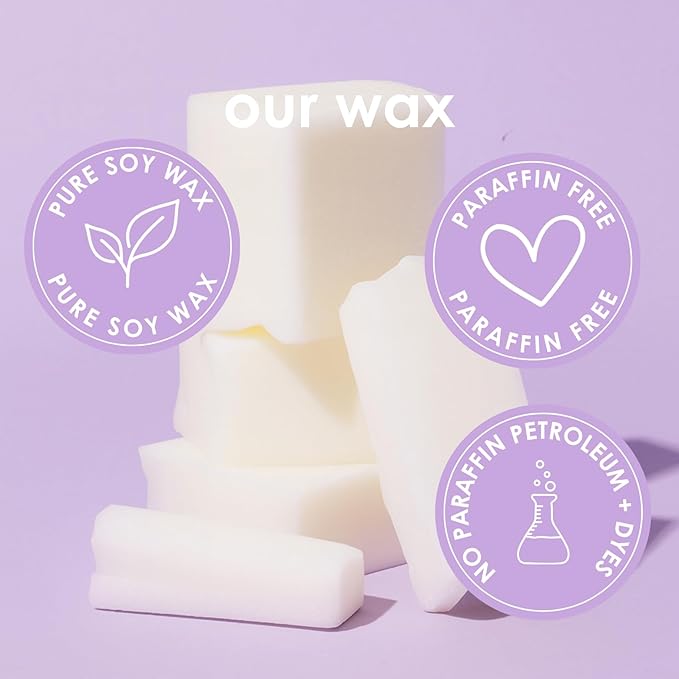 Pet Safe Wax Melts for Dogs | Non Toxic Soy Wax Melts | Natural, Paraffin-Free, Clean Burning | Odor Eliminating Wax Cubes | Falling Leaves