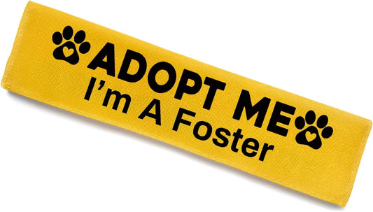 Adopt Me I’m A Foster Dog Leash Sleeve - Funny Yellow Alert Wrap with Hanging ID Patch | No Pet Leash Accessory, Perfect Pet Birthday Gift for Dog Owners