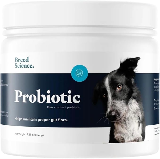 Probiotic and Prebiotic Powder for Dogs - Diarrhea Treatment and Gas Relief Supplement - Immune Health and Digestive Supplies - Stool Hardener Support for Pets