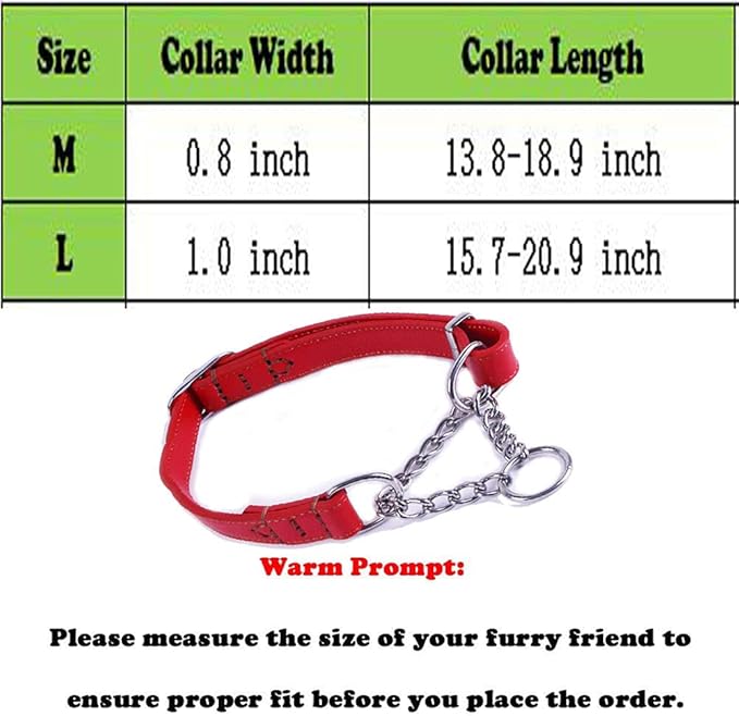 Love Dream Martingale Collars for Dogs, Leather Training Dog Collar, Stainless Steel Chain Anti-Escape No Pull Dog Collar for Medium Large Dogs (S(11.8"-16.9"), Red)