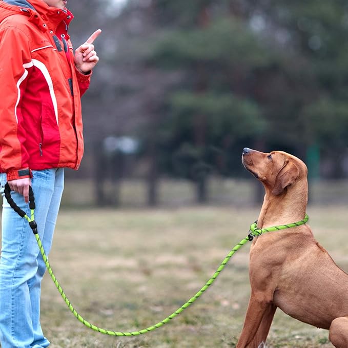 TagME Slip Leads for Dogs that Pull, 6 FT No-Pull Training Leash with Lock, Escape-Proof Design, Reflective & Padded Handle for Large Dogs, Green