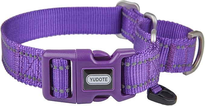 Reflective Martingale Collar for Dogs with Quick Snap Buckle Anti-Pull Nylon Safe Slip Collars for Easy Walking,Purple,Medium