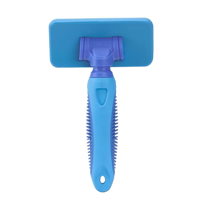 Fancy Pets Dog Card Medium Blue