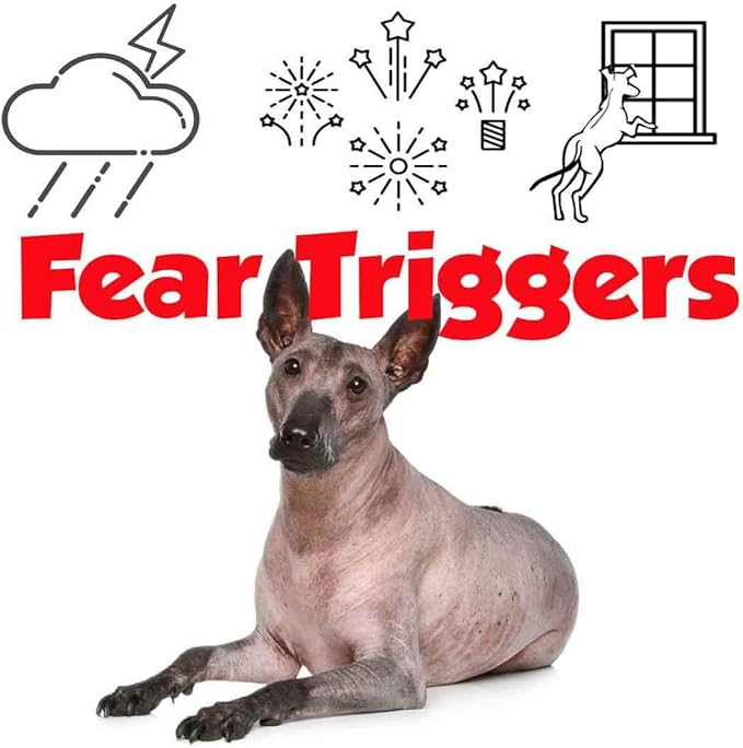 The Blissful Dog Xoloitzcuintli Relax Roll-ON Aromatherapy for Dogs - Anxiety Relief for Dogs