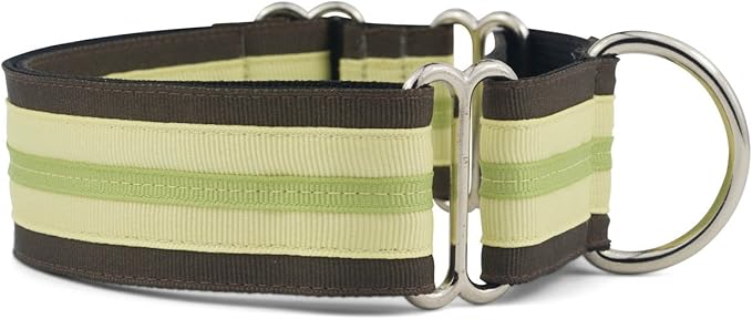 If It Barks - 1.5" Martingale Collar for Dogs - Adjustable - Nylon - Strong and Comfy - Ideal for Training - Made in USA - Medium, Key Lime Pie